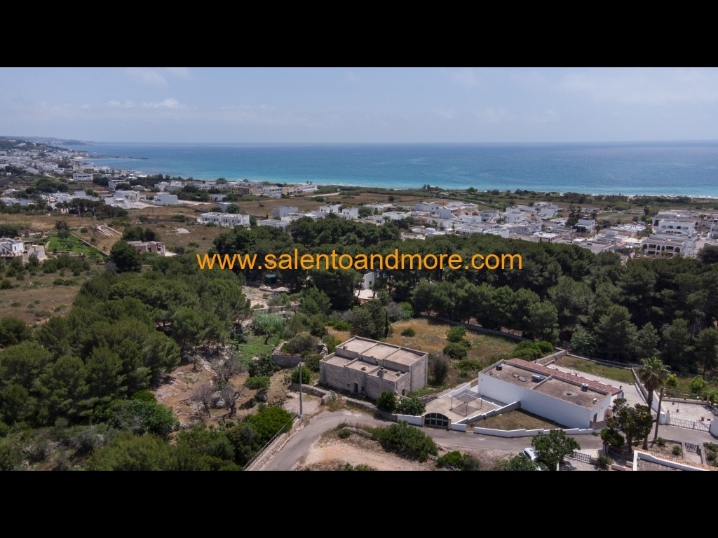 DJI_0046